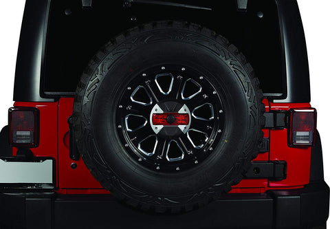 Alpine Spare Tire Rear View Camera and Light System